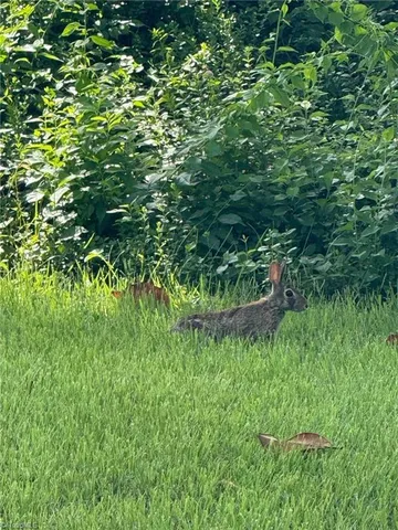 $45,000 | 0 South Brenhaven Drive, Elkin, NC 28621