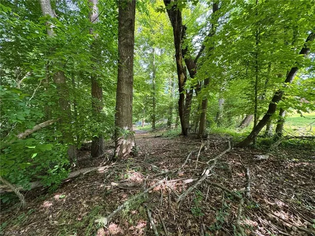 $45,000 | 0 South Brenhaven Drive, Elkin, NC 28621