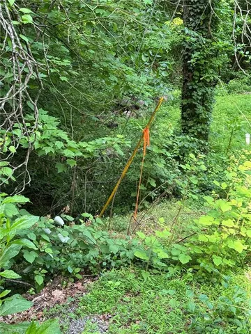 $45,000 | 0 South Brenhaven Drive, Elkin, NC 28621