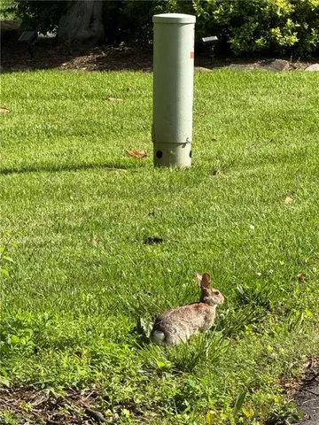 $45,000 | 0 South Brenhaven Drive, Elkin, NC 28621