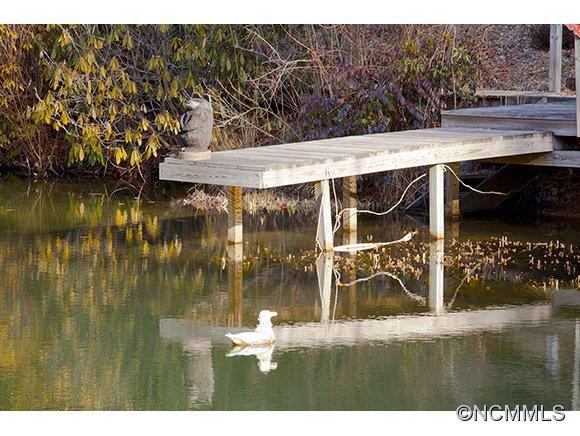 887 Thunder Road Brevard, NC 28712 - Photo 11 of 24 Gallery Image 11