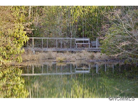 887 Thunder Road Brevard, NC 28712 - Photo 7 of 24 Gallery Image 7