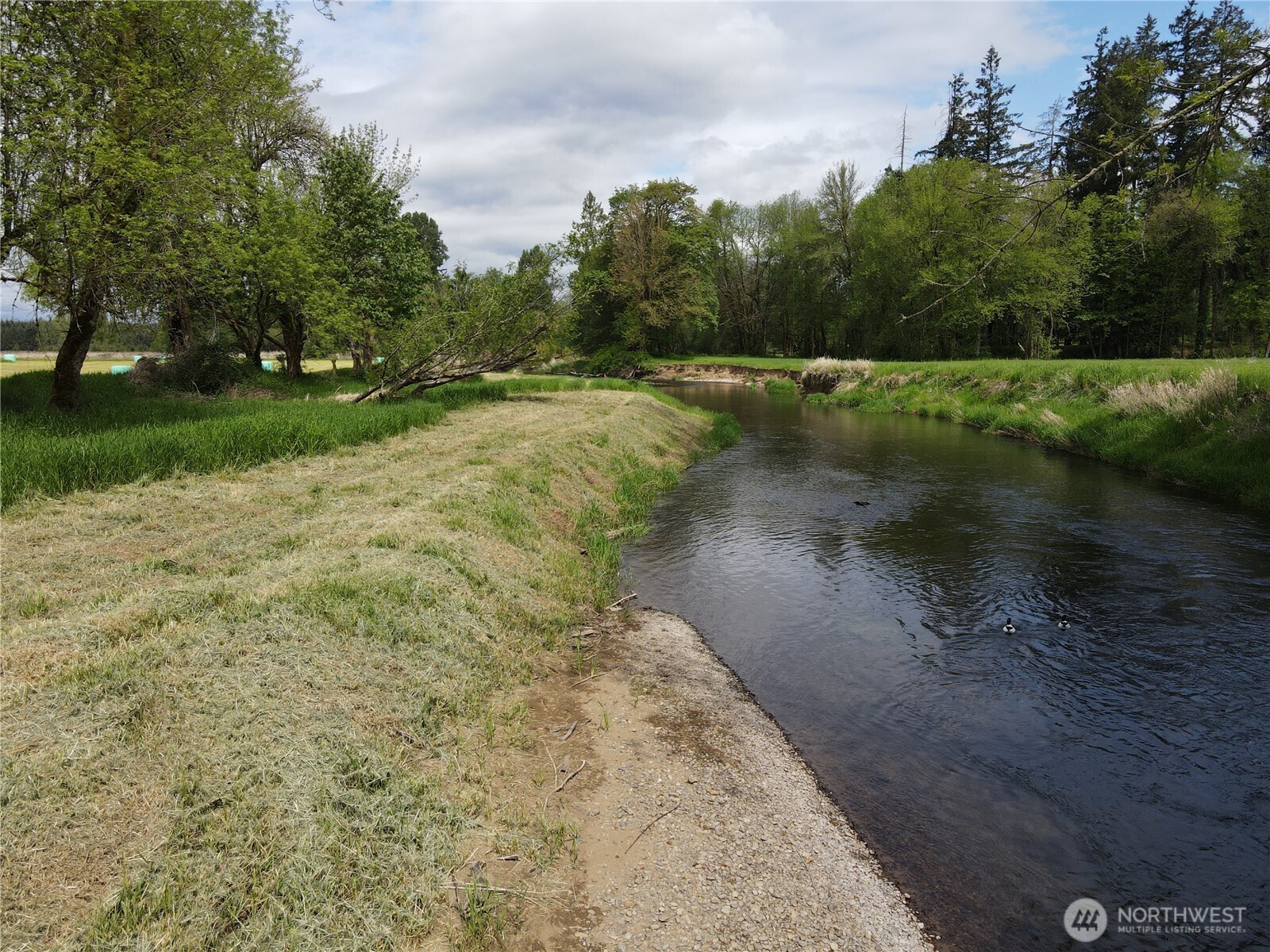 116 Anglers Lane Chehalis, WA 98532 - Photo 16 of 27 a view of a lake from a yard