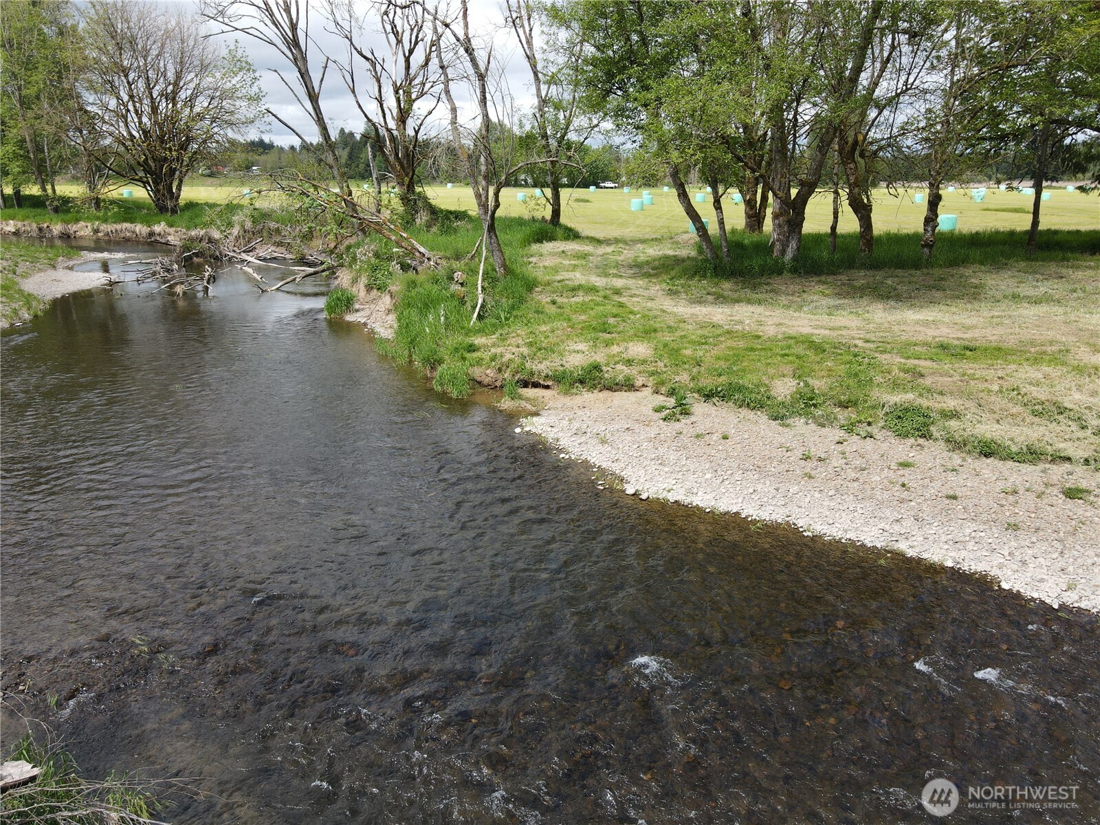 116 Anglers Lane Chehalis, WA 98532 - Photo 18 of 27 a view of yard