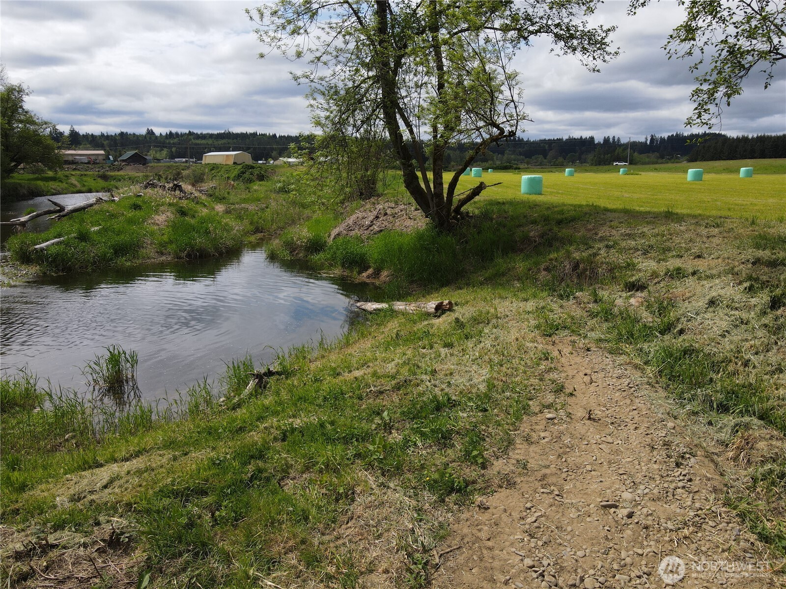 116 Anglers Lane Chehalis, WA 98532 - Photo 22 of 27 a view of a yard with an trees
