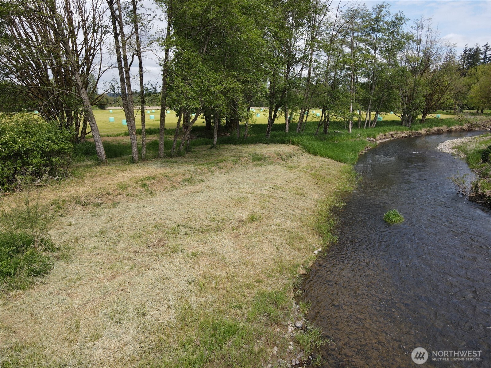 116 Anglers Lane Chehalis, WA 98532 - Photo 23 of 27 a backyard of a house with lots of green space