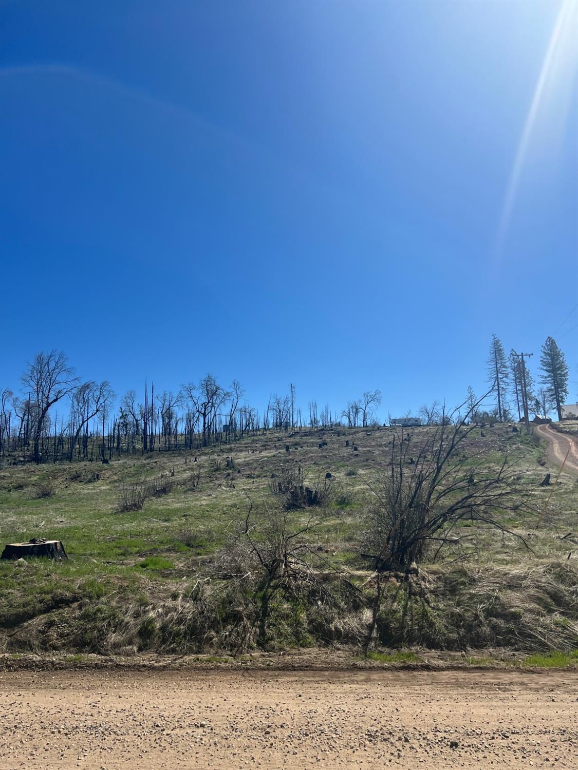 a view of a yard with an ocean