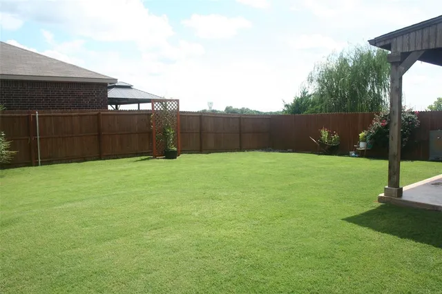 a view of a backyard