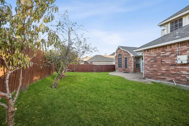 a view of a backyard with plants and large trees