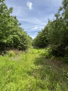 13 B Richardson Road Orrington, ME 04474 - Photo 3 of 10 IMG_0794