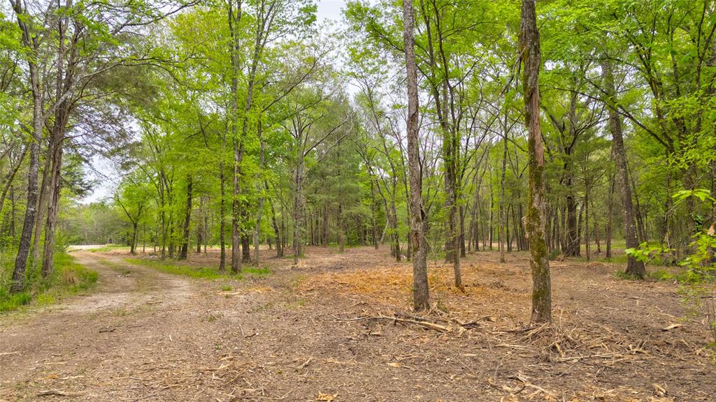 1411 Vz County Road 2139 Wills Point, TX 75169 - Photo 12 of 38