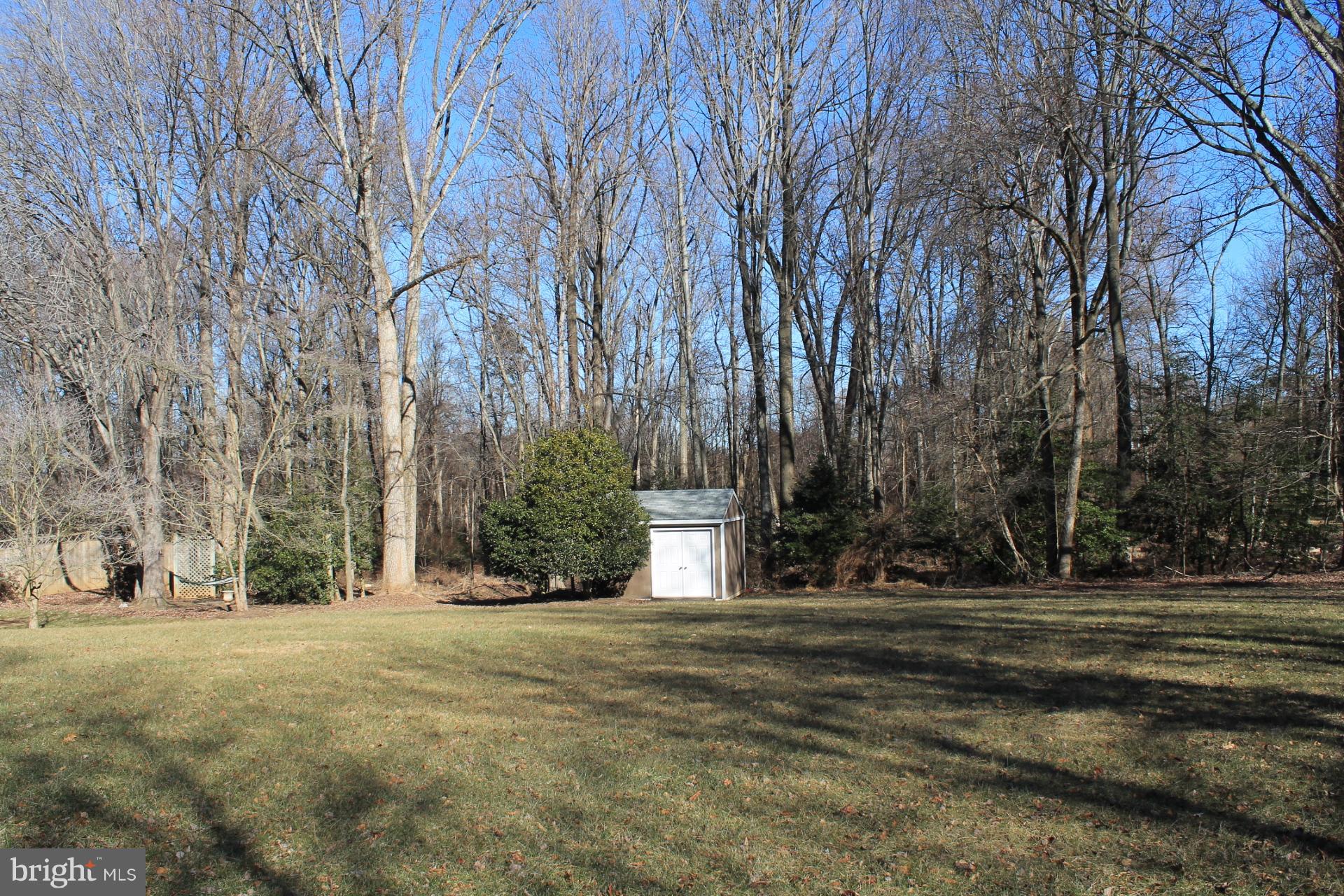 2833 Rifle Ridge Road Oakton, VA 22124 - Photo 28 of 30 Private Rear Yard with Shed Backing to HOA Land.