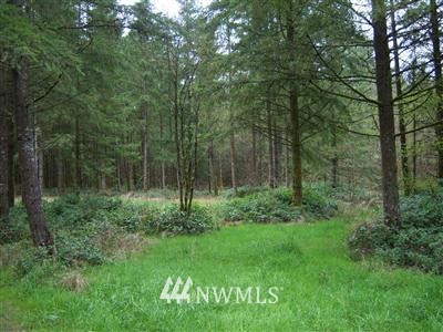 443 Meier Road Winlock, WA 98596 - Photo 1 of 1