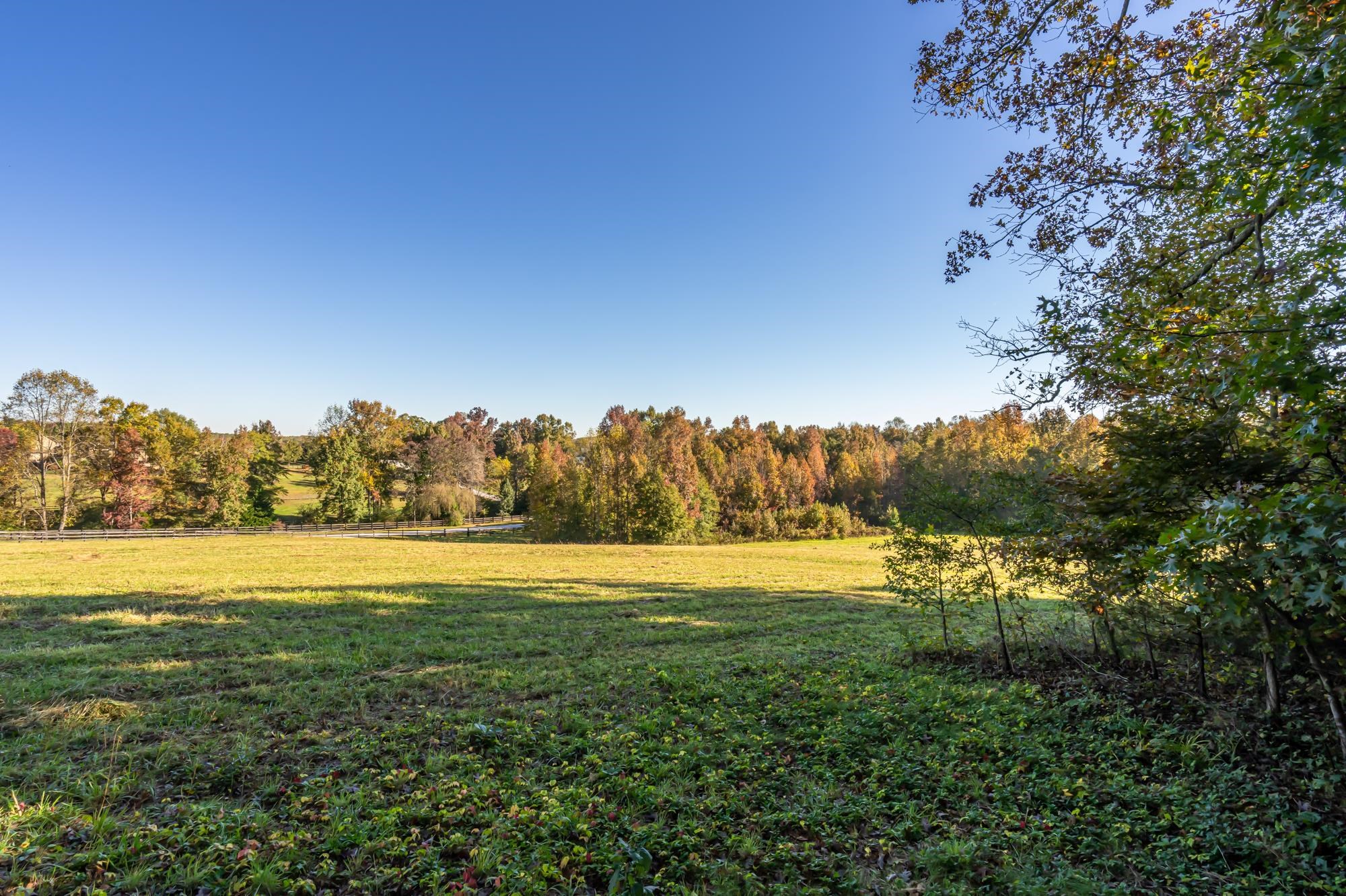 233 Stable Gate Drive Campobello, SC 29322 - Photo 35 of 36
