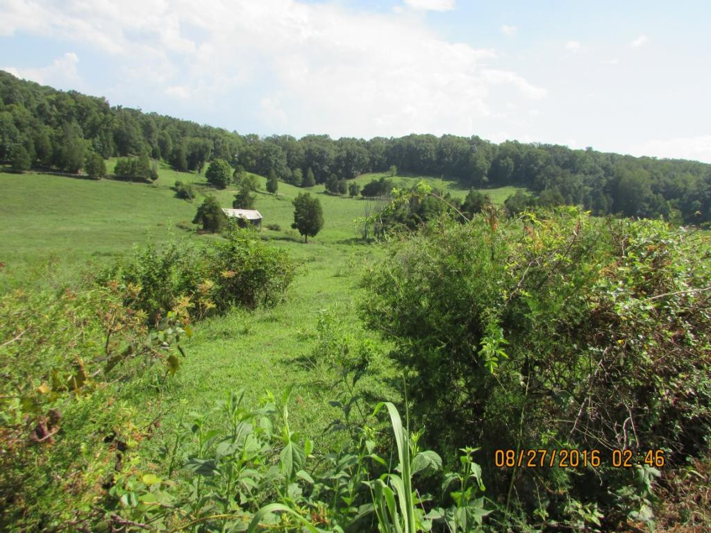 Lot7 Lot7 Pinhook Road Rogersville, TN 37857 - Photo 1 of 5 Photo 1