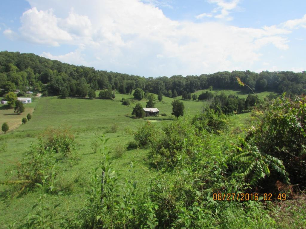 Lot7 Lot7 Pinhook Road Rogersville, TN 37857 - Photo 3 of 5 Photo 3