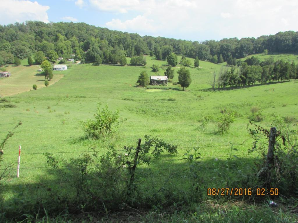 Lot7 Lot7 Pinhook Road Rogersville, TN 37857 - Photo 5 of 5 Photo 5
