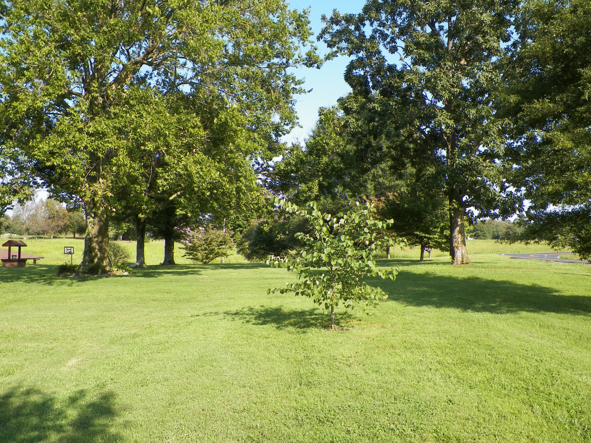801 Coleytown Road Lafayette, TN 37083 - Photo 3 of 28
