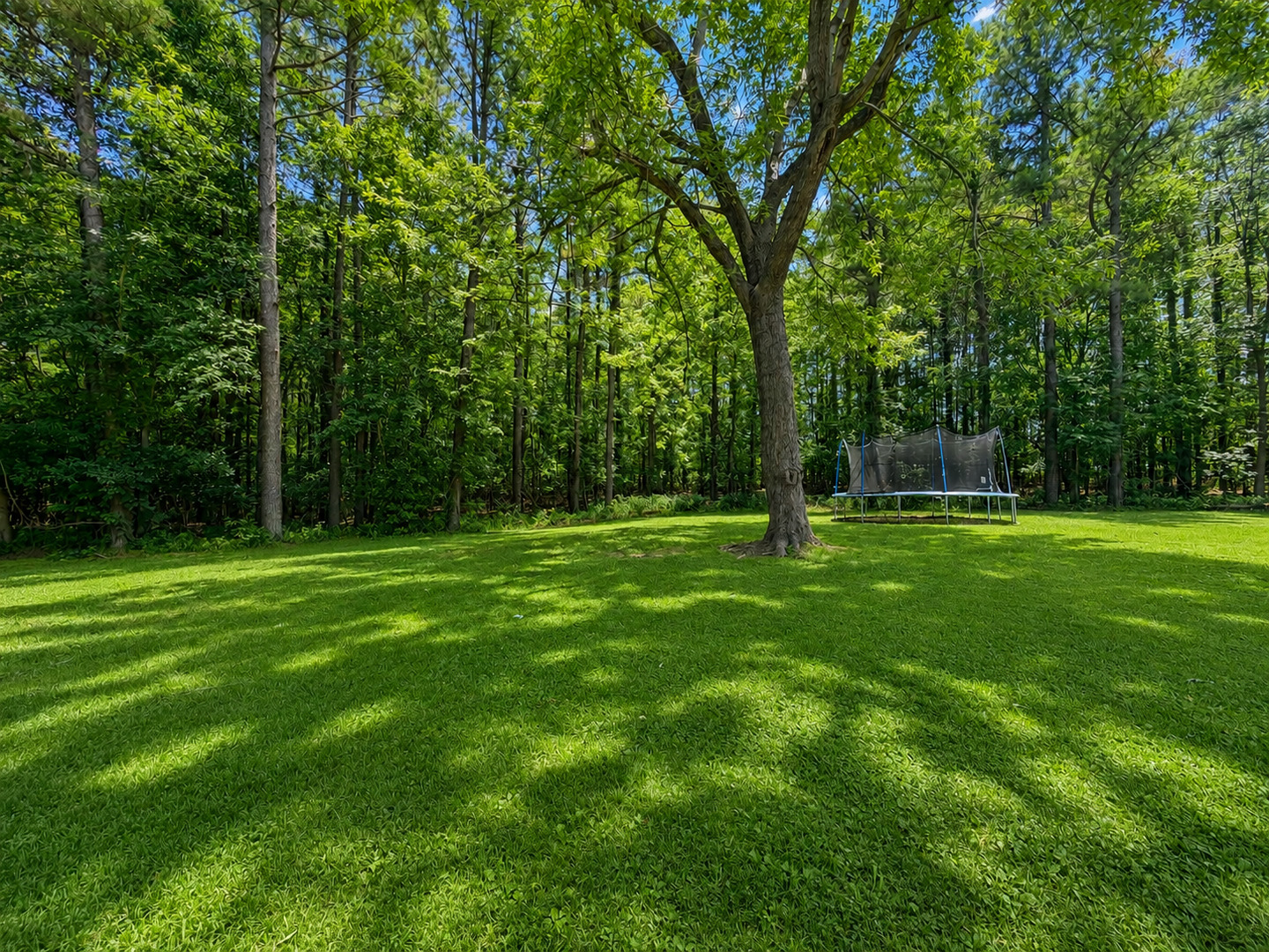1290 Mt Sterling Road Brookport, IL 62910 - Photo 8 of 37