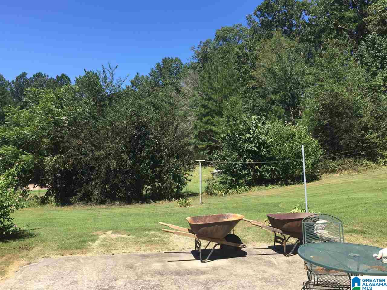 4191 Spunky Hollow Road Remlap, AL 35133 - Photo 29 of 29