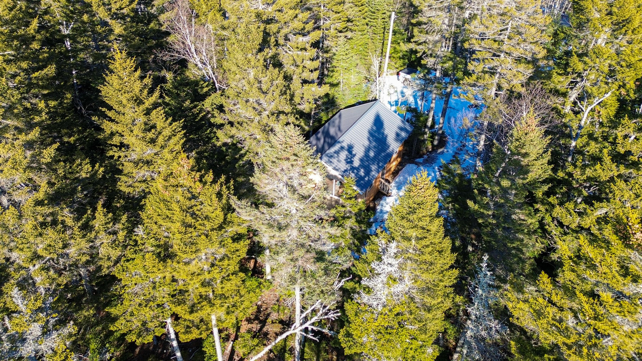 251 Ripley Neck Road Harrington, ME 04643 - Photo 5 of 18