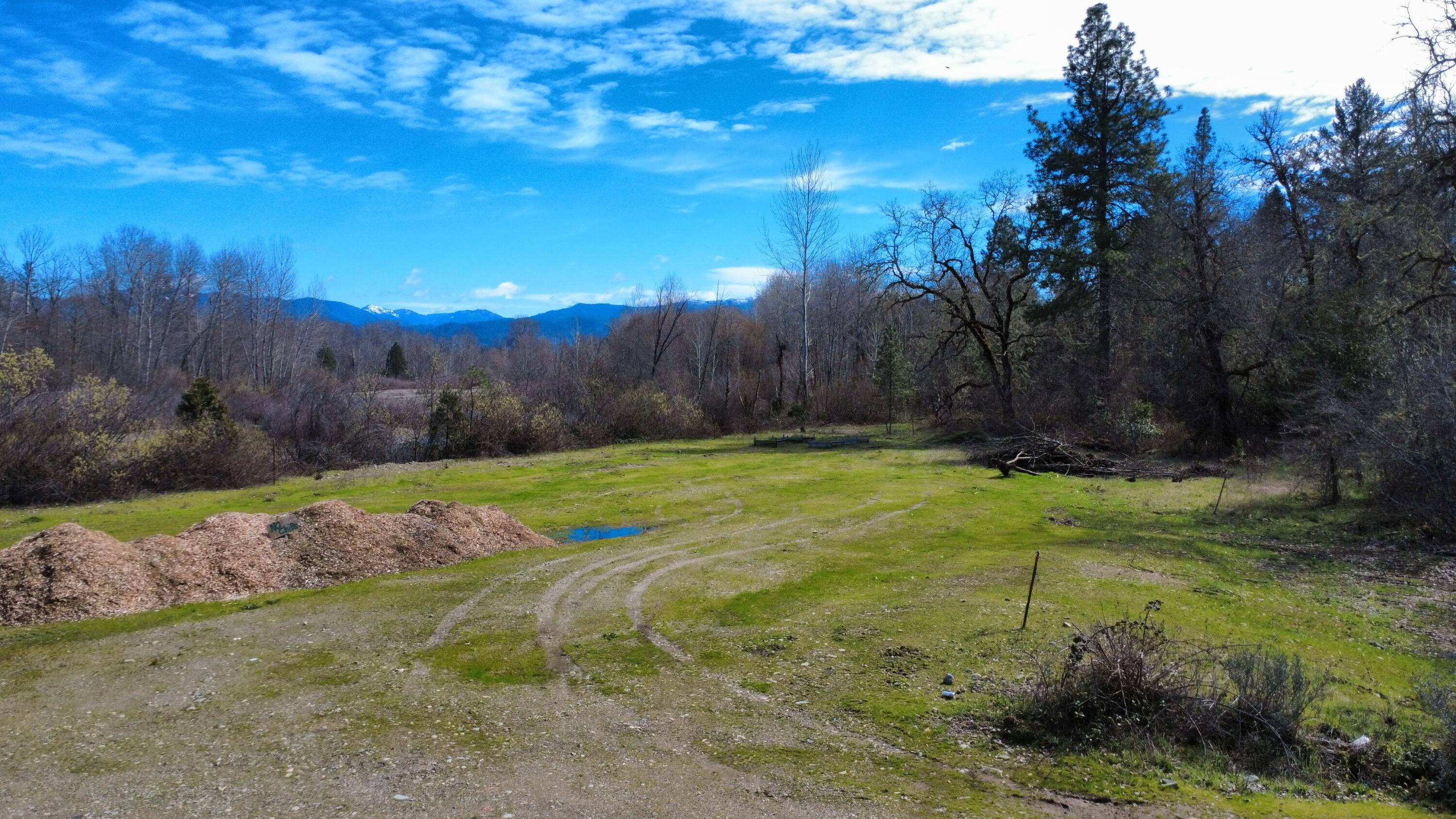 1449 Rockydale Road Cave Junction, OR 97523 - Photo 9 of 11 a view of backyard with green space