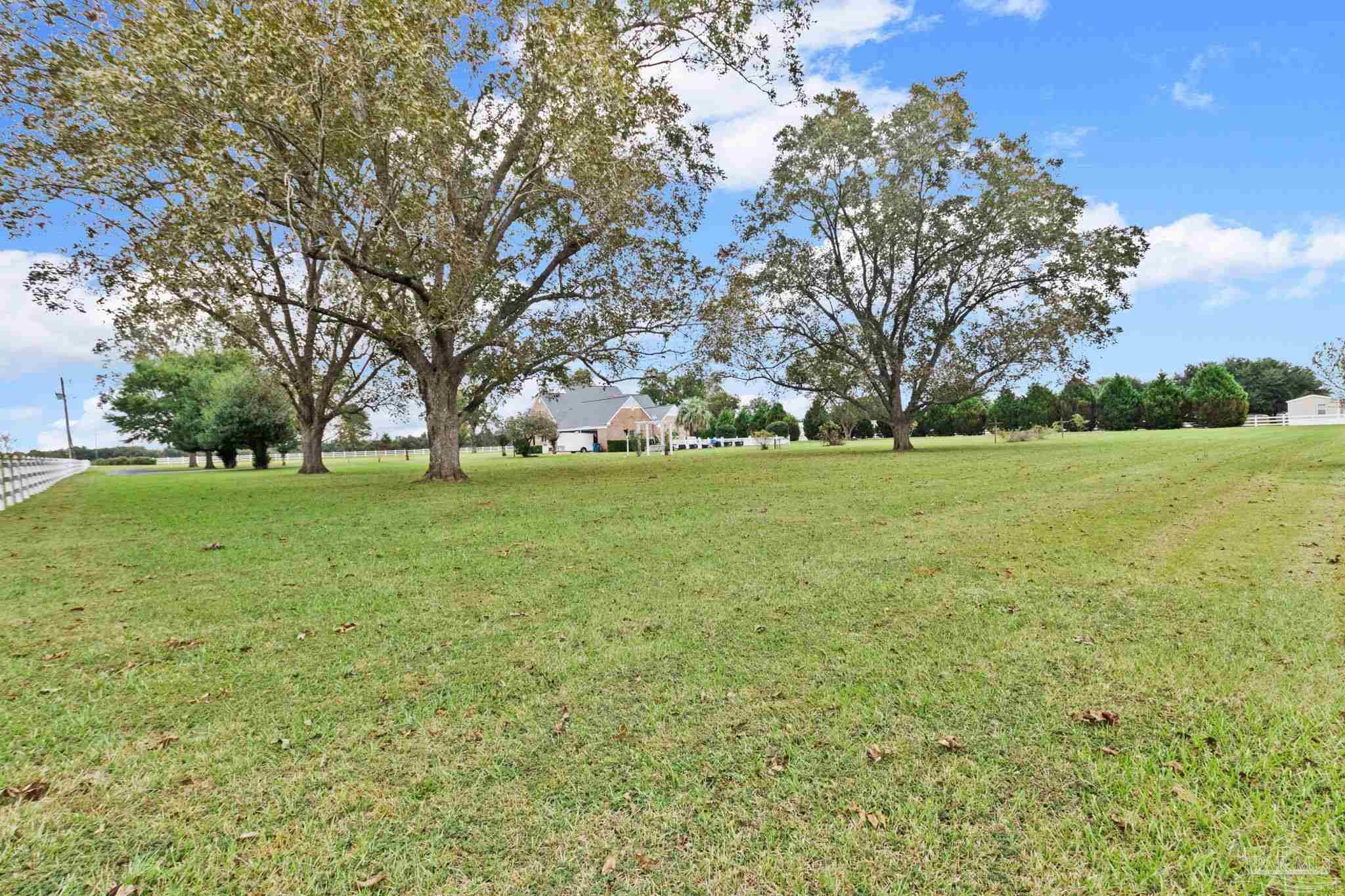 10734 Highway 31 Atmore, AL 36502 - Photo 54 of 65 a view of a field with trees