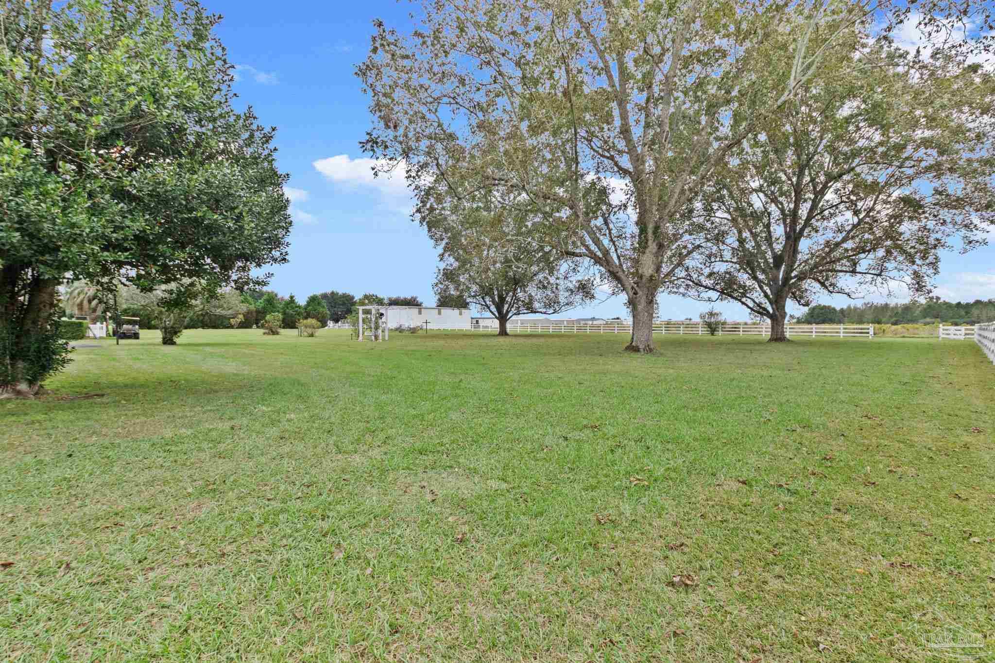 10734 Highway 31 Atmore, AL 36502 - Photo 59 of 65 a view of a field with a tree