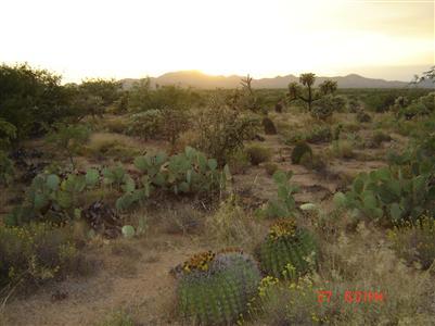16515 North Oracle Road Tucson, AZ 85739 - Photo 8 of 9