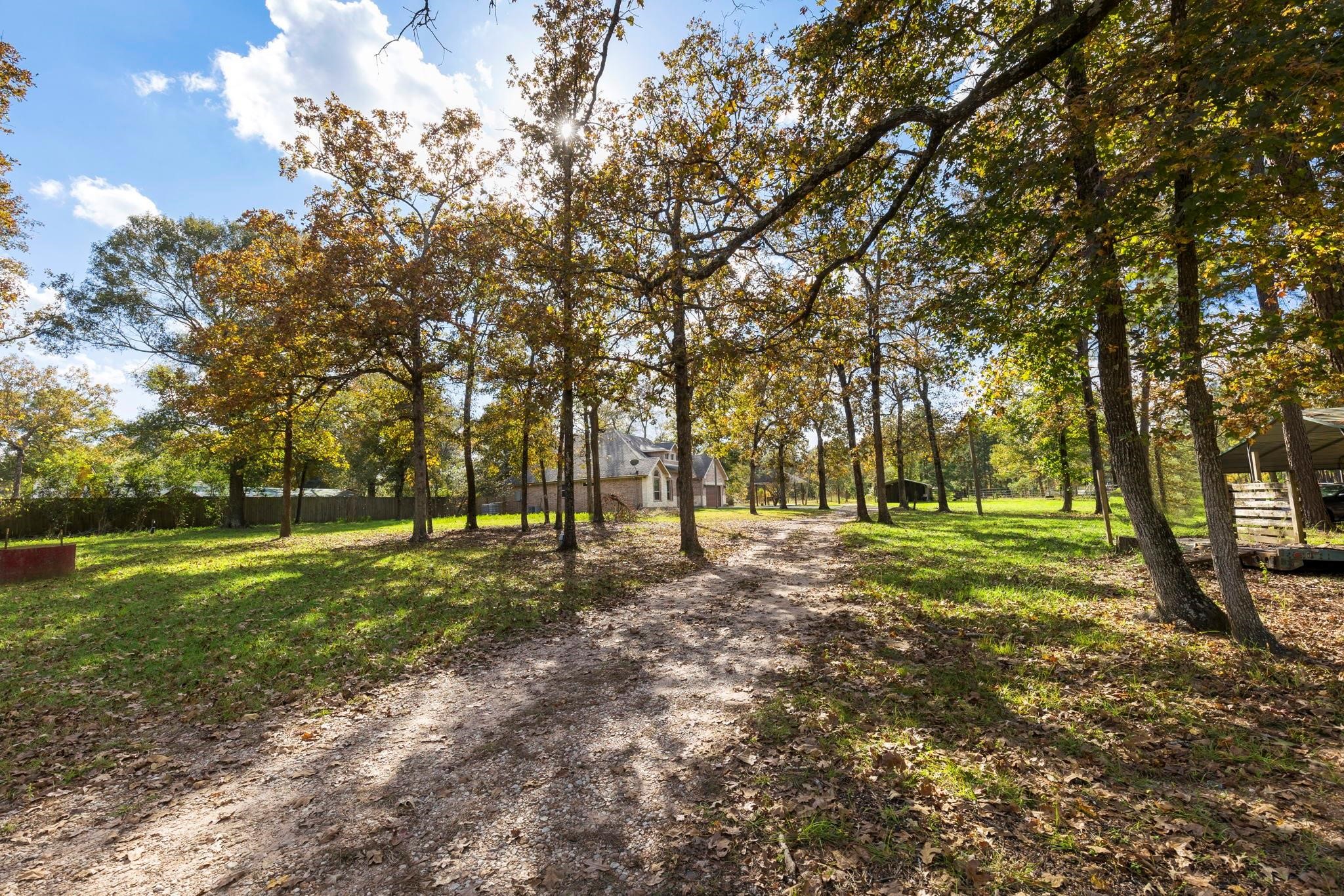 1155 Whipporwill Road Conroe, TX 77303 - Photo 12 of 34 Shade Trees Through Out Property
