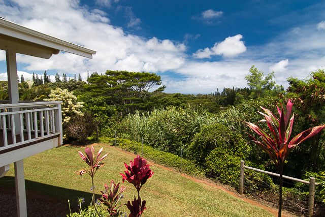 60 Oili Road Haiku, HI 96708 - Photo 2 of 30 a view of a patio
