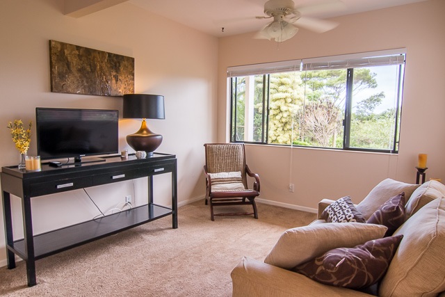 60 Oili Road Haiku, HI 96708 - Photo 23 of 30 a living room with furniture and a flat screen tv