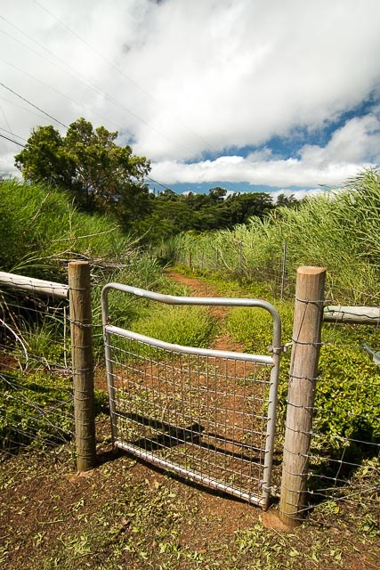 60 Oili Road Haiku, HI 96708 - Photo 26 of 30 a view of a park with iron fence
