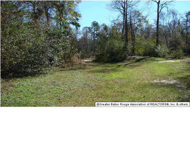 22325 Hopkins Road Holden, LA 70744 - Photo 11 of 13 Gallery Image 11