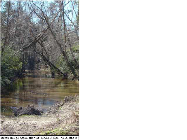 22325 Hopkins Road Holden, LA 70744 - Photo 13 of 13 Gallery Image 13