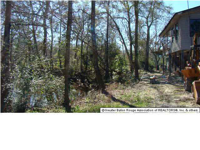 22325 Hopkins Road Holden, LA 70744 - Photo 3 of 13 Gallery Image 3