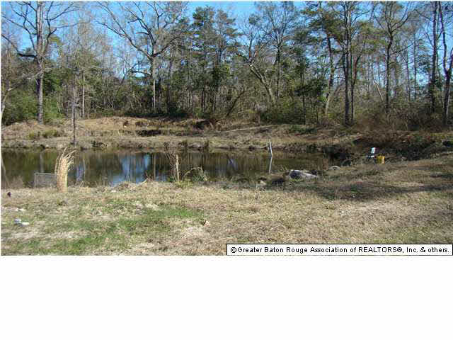 22325 Hopkins Road Holden, LA 70744 - Photo 8 of 13 Gallery Image 8