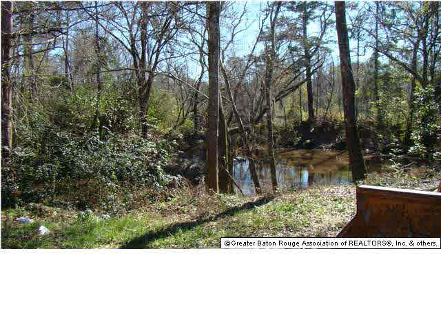 22325 Hopkins Road Holden, LA 70744 - Photo 9 of 13 Gallery Image 9