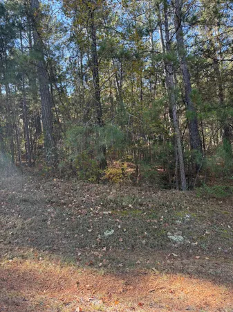 $13,000 | Lot 13 Two Wood Place, McCormick, SC 29835