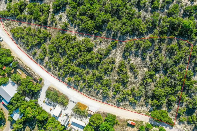 a view of a garden with a plant