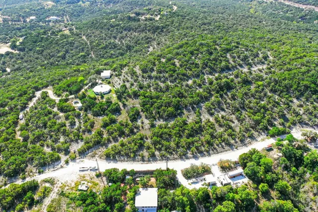 a view of a lush green forest with lots of trees