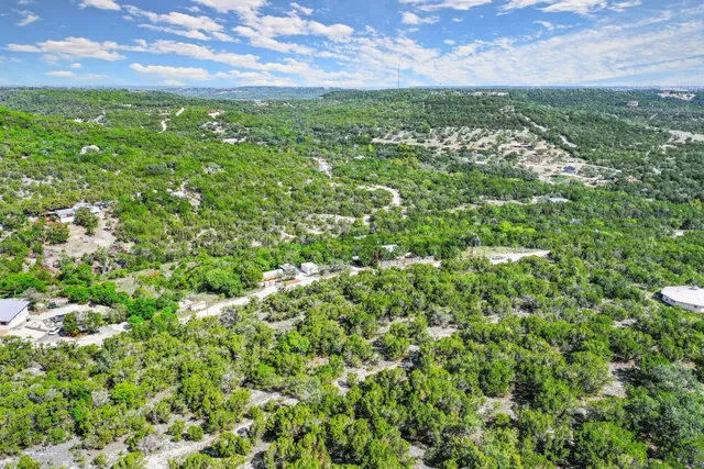 a view of a lush green field with plants