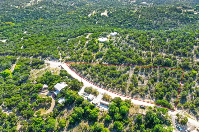 a view of flowers in bunch
