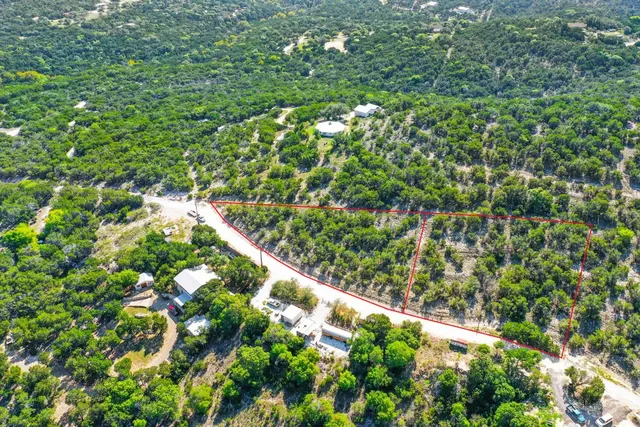 a view of flowers in bunch