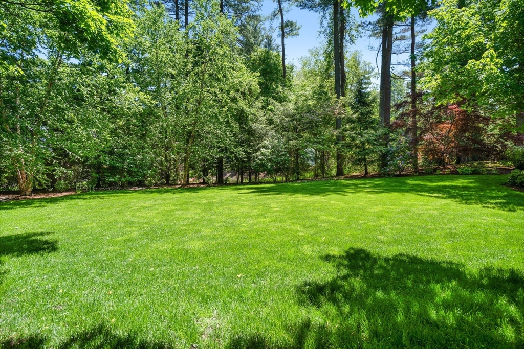 48 Scotch Pine Road Wellesley, MA 02481 - Photo 37 of 39 a view of green field with trees in the background