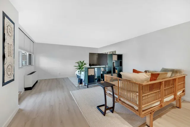 a living room with furniture and a potted plant