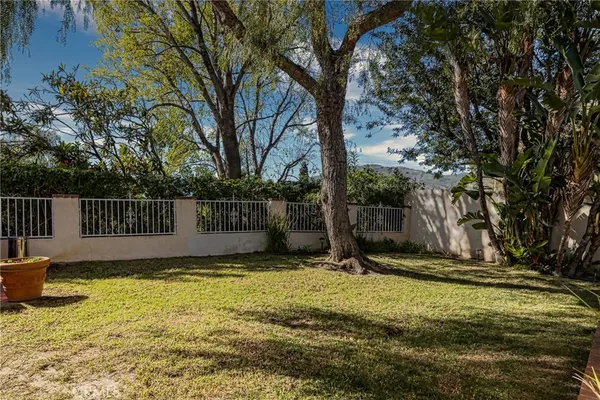 a view of a backyard with large tree