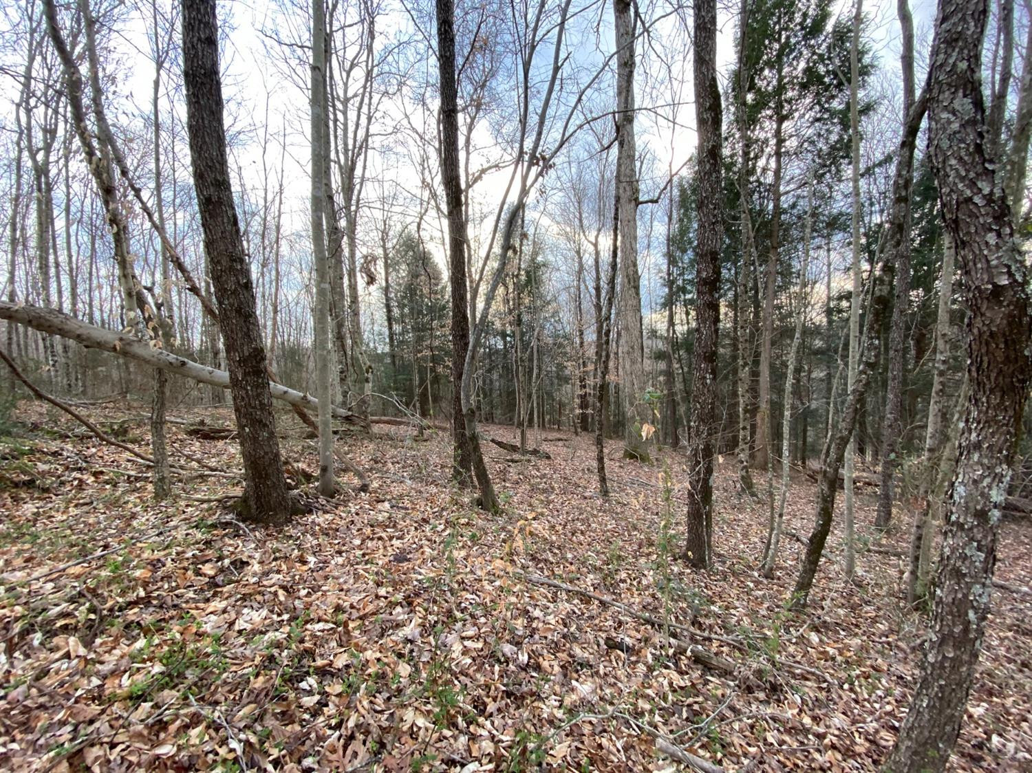 1175 Cassidy Road London, KY 40744 - Photo 78 of 94 Photo 78