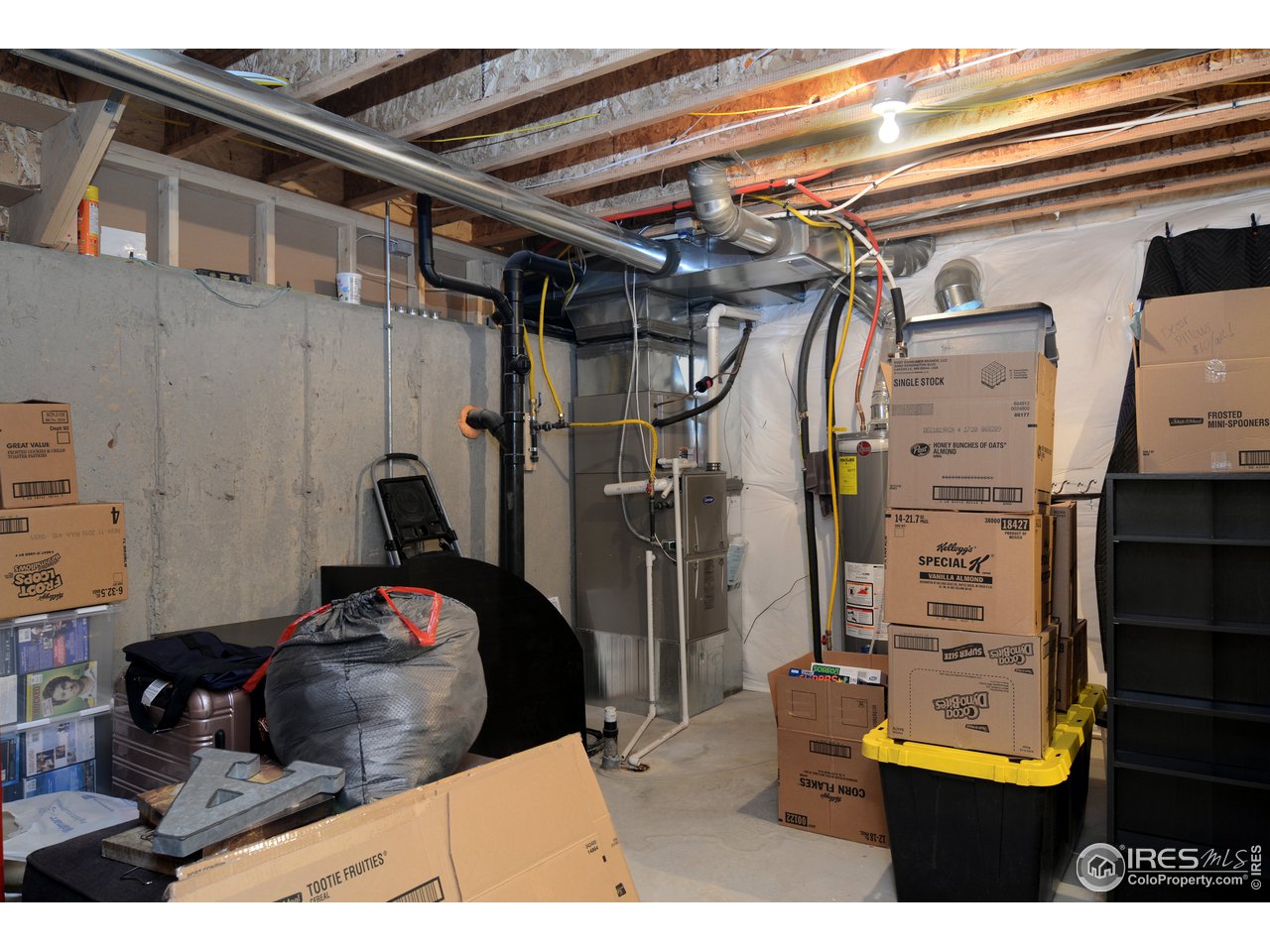 7363 Ocean Ridge Street Wellington, CO 80549 - Photo 19 of 24 unfinished basement
