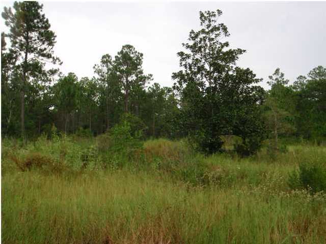 Lot 22 7th Street Santa Rosa Beach, FL 32459 - Photo 1 of 1 Primary Photo